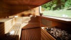 wellness sauna.jpg