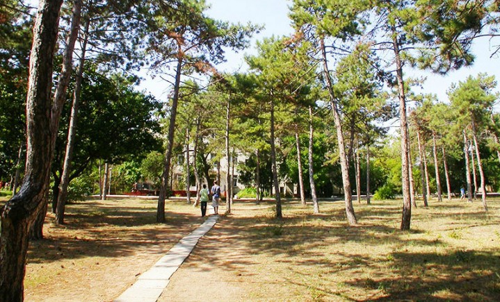 photo-22.jpg