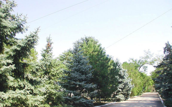 9145-sanatotiy-im_krupskoy-06_.jpg
