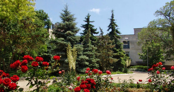 615f-sanatotiy-im_krupskoy-05_.jpg