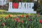 IMG_6247.jpg
