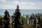 IMG_6294.jpg